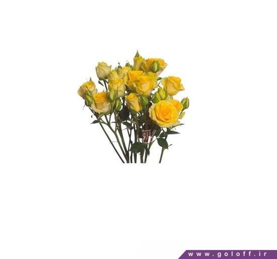 دسته گل قشنگ - دسته گل رز مینیاتوری موریتو - Roses | گل آف